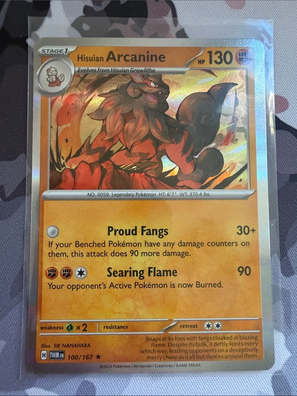 Growlithe & Arcanine Evolution Lot | 5 Cards | Holo & Reverse Holo | TCG ✨5/$25✨